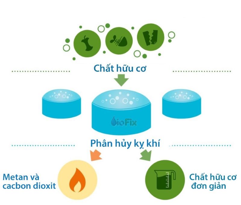 Phản ứng phân hủy trong môi trường kỵ khí